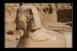 20070508_1235