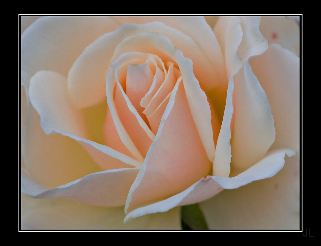 _MG_6573.jpg