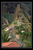 IMG_8651